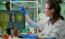 Haftalık gıda denetimi: Yerli ürünlerde limit üstü bitki koruma ürünü tespit edildi