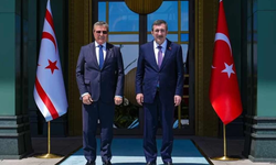 Ünal Üstel, Cevdet Yılmaz ile görüşecek