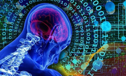 İnsanın beyin dokularıyla çalışan bilgisayarlar geliyor