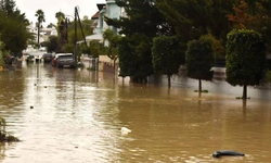 Sigorta ve Reasürans Şirketleri Birliği: Halkın yaralarının sarılması için sorumluluğumuzu yerine getirmeye devam edeceğ