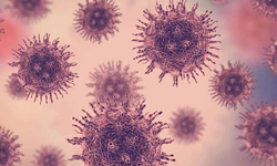 Madagaskar'da ilk defa M çiçeği vakası tespit edildi