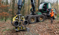 Almanya'da ağaç dalları araba lastiklerine dönüyor