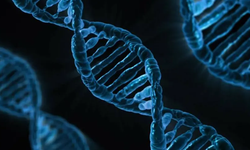 İnsan DNA'sında gizli bir zayıf nokta keşfedildi. "Mozaik mutasyonları" tetikliyor