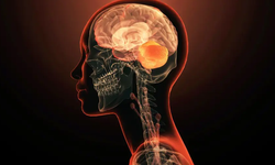 Anılarınız sandığınız kadar güvenilir olmayabilir. Beynimiz geçmişi sürekli "yeniden yazıyor"