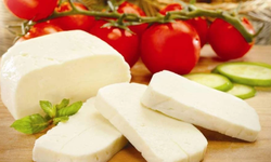 Hayvan Üreticileri Birliği: Koyun sütü 28 TL’ye düşmüşken hellim tescili konuşulamaz