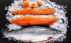 Somon balığının çocuklar için başlıca faydaları