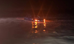 Peyzaj Mimarları Odası: “Yaşadığımız şey doğanın değil insanın afetidir”