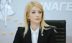 DİSİ’den Türkiye Dışişleri Bakanı Fidan’a tepki: İki devletli çözüm kabul edilemez