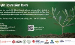 Kıbrıs Vakıflar İdaresi yarın Esentepe’de zeytin fidanı dikecek