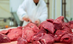 Güney Kıbrıs’ta Noel öncesi fiyatlar: Dana eti ve tatlılar zamlandı