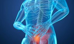 Prostat sağlığı için yararlı ve zararlı besinler