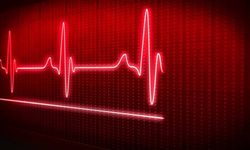 Cemal Tunçkaya Avlanırken Hayatını Kaybetti