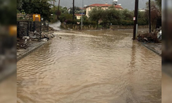 Gıda Mühendisleri Odası: “Ambalajlı Dahil Kirli Suya Değen Hiçbir Gıda Güvenli Değil”