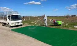 Şap Hastalığı Önlemleri: Gazimağusa’da Dezenfeksiyon İstasyonları Kuruldu