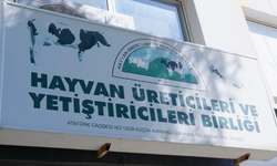 Hayvan Üreticileri Birliği’nden Şap Hastalığı Uyarısı: Çiftliklerde Önlem Çağrısı