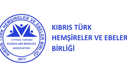 Hemşireler ve Ebeler Birliği Başkanı Özgöçmen'den asgari ücret açıklaması