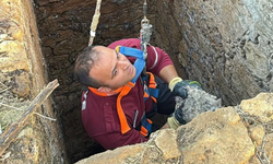 Yürekleri Ağıza Getiren Kurtarma: Simba Kuyuya Düştü