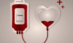 9 yaşındaki Ayşe Cengiz için kan aranıyor!