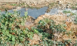 Lefke Ekoloji Derneği'nden uyarı: "Gemikonağı Deresi’ne yaklaşık bir aydır foseptik akışı var"