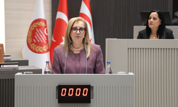 2026 Mali Yılı Bütçesi Meclis Genel Kurulu’nda Görüşüldü