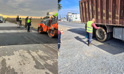 Şap Hastalığı Tedbir Çalışmaları Devam Ediyor