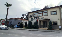 Orman Dairesi Müdürlüğü: Boğazköy’deki ağaç kesimi izinsiz yapıldı