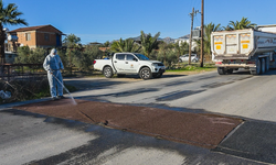 LTB, Boğaziçi köyünde tespit edilen şap hastalığına karşı tedbirleri arttırarak sürdürüyor