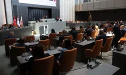 Meclis, Tarım Bakanlığı bütçesini görüşüyor; Salahi Şahiner: Üretim sektörünün durumu acı