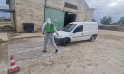 Şap hastalığı ile ilgili tüm önlemler alındı