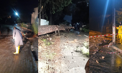 Şenkul: 36 saattir Girne sahada