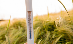 2025’te küresel sıcaklıklar rekor seviyelere ulaştı