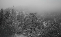 Trodoslara ilk kar düştü