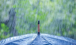 Koruçam En Çok Yağışı Aldı: Son 24 Saatte Metrekareye 22 Kg