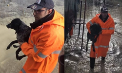 Yenikent’te su taşkınında mahsur kalan köpekler kurtarıldı