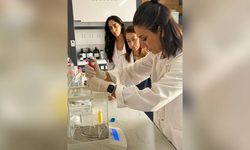 Zeytinyağı tağşiş analizleri Güzelyurt Tarımsal Araştırma İstasyonu’nda yapılmaya başlandı