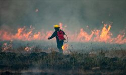 Arjantin'deki orman yangınlarında yaklaşık 12 bin hektarlık alan kül oldu