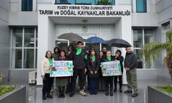 Patika Doğa Sporları Derneği: "Ormanlarda ücret uygulaması Anayasa’ya aykırı, keyfî ve belirsiz”