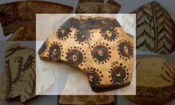 Tarih kitaplarını değiştirecek keşif: 8 bin yıllık çömleklerdeki çiçek desenlerindeki gizem