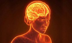 Sürekli şikayet etmek beyni fiziksel olarak değiştiriyor