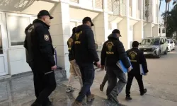 9 ilde 450 milyonluk "sazan sarmalı" operasyonu... 28 şüpheliden 7'si tutuklandı