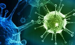 Güney Kıbrıs'ta gripten bir kişi hayatını kaybetti