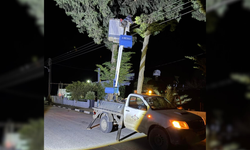 Mehmetçik’te Fırtına Elektrik Hatlarını Vurdu: Ekipler Gece Boyunca Sahadaydı