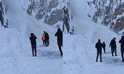 Hakkari–Van karayolunda çığ düştü! Bölgeye çok sayıda ekip sevk edildi