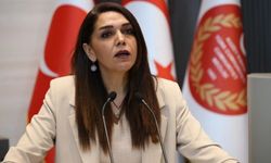 Fide Kürşat: Hayvancılıkta çöküş kapıda; üretici tükenmiş durumda