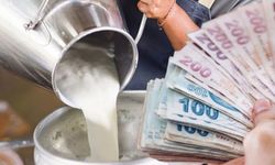 Tarım Bakanlığı, inek, koyun ve keçi sütü alım fiyatları ile devlet desteklerini artırdı