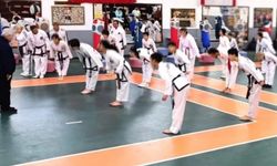 Rauf Raif Denktaş anısına Taekwondo Karate Budo Şampiyonası düzenlendi