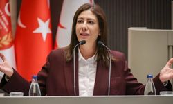 Lefke Gazi Lisesi'nin durumu Meclis'e taşındı: Başbakan'a birlikte inceleme çağrısı