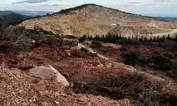 Çevre Platformu’ndan savcılığa çağrı: Orman arazileriyle ilgili iddialar soruşturulsun!