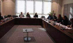 Ekonomi, Maliye, Bütçe ve Plan Komitesi “Pul (Değişiklik) Yasa Tasarısı"nı Meclis gündemine sevk etti