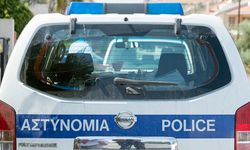 Baf’ta deniz kaplumbağasına işkence ederek ölümüne neden olan 4 kişi tutuklandı